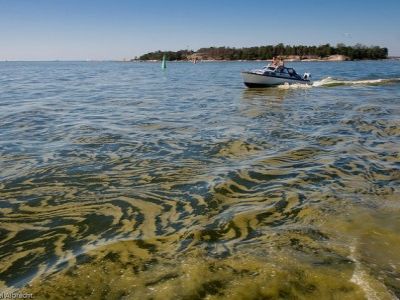 Загрязнения в Балтийском море. Фото: cawater-info.net