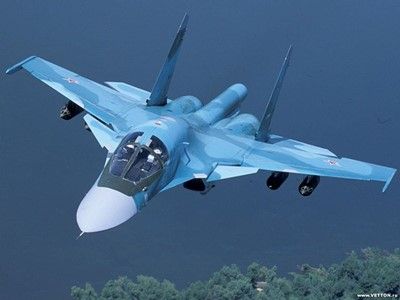 Истребитель F15С Eagle. Фото: sfw.so