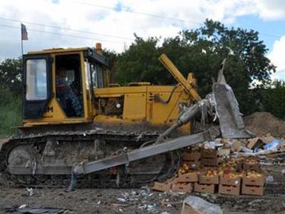 Уничтожение яблок будьдозером. Фото: Россельхознадзор